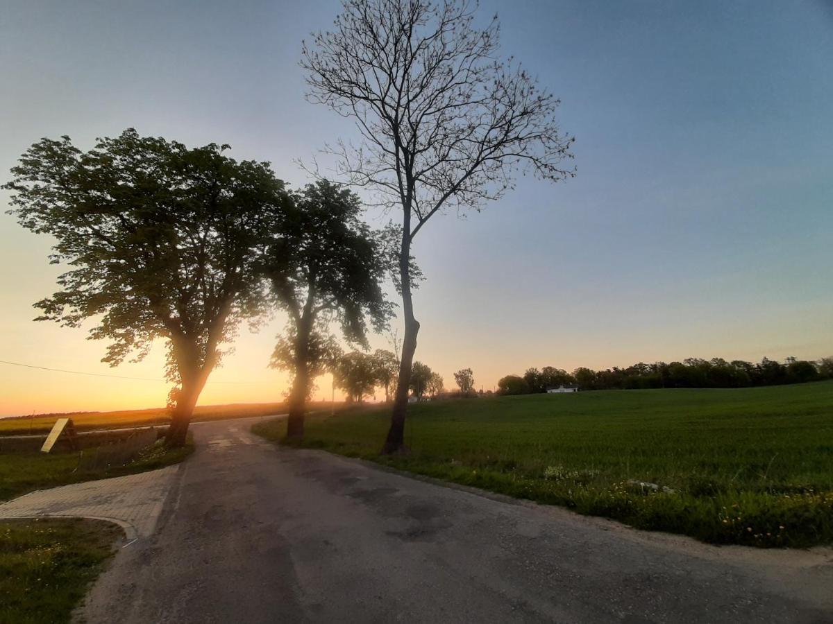 Noclegi Zdzislaw Sieradzki Zbiczno Exteriör bild