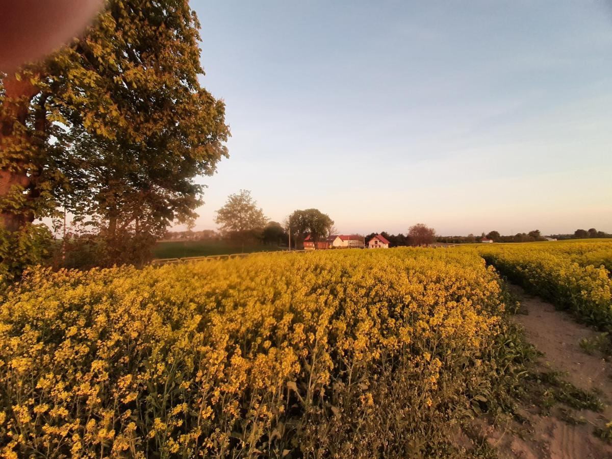 Noclegi Zdzislaw Sieradzki Zbiczno Exteriör bild