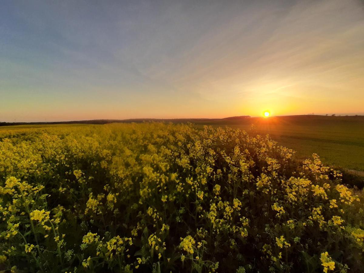 Noclegi Zdzislaw Sieradzki Zbiczno Exteriör bild