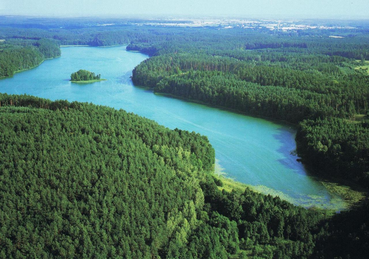 Noclegi Zdzislaw Sieradzki Zbiczno Exteriör bild