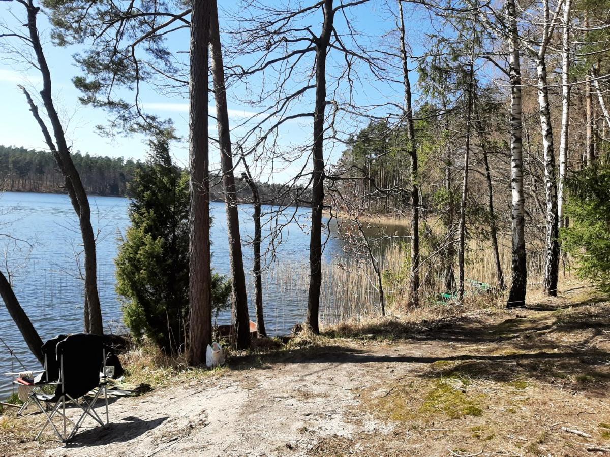 Noclegi Zdzislaw Sieradzki Zbiczno Exteriör bild