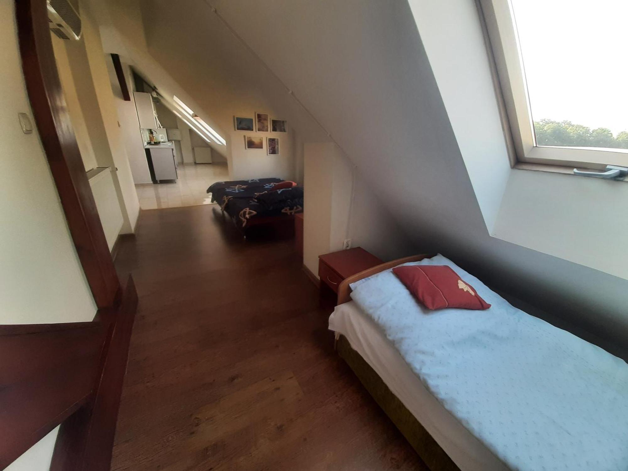 Noclegi Zdzislaw Sieradzki Zbiczno Exteriör bild